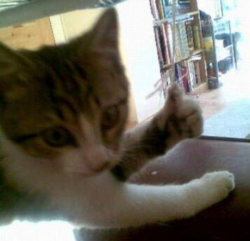 If you're reading this, you have JavaScript disabled or try reloading the page